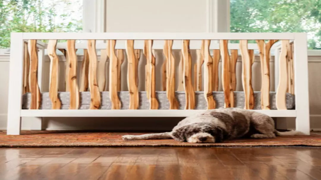 A New Crib Inspired by Nature